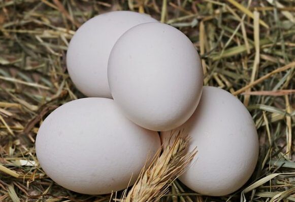 Dijeta sa jajima uključuje svakodnevno jedenje pilećih jaja. 